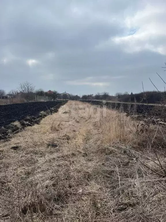 Участок в Белгородская область, Белгородский район, Дубовское с/пос, ... - Фото 0