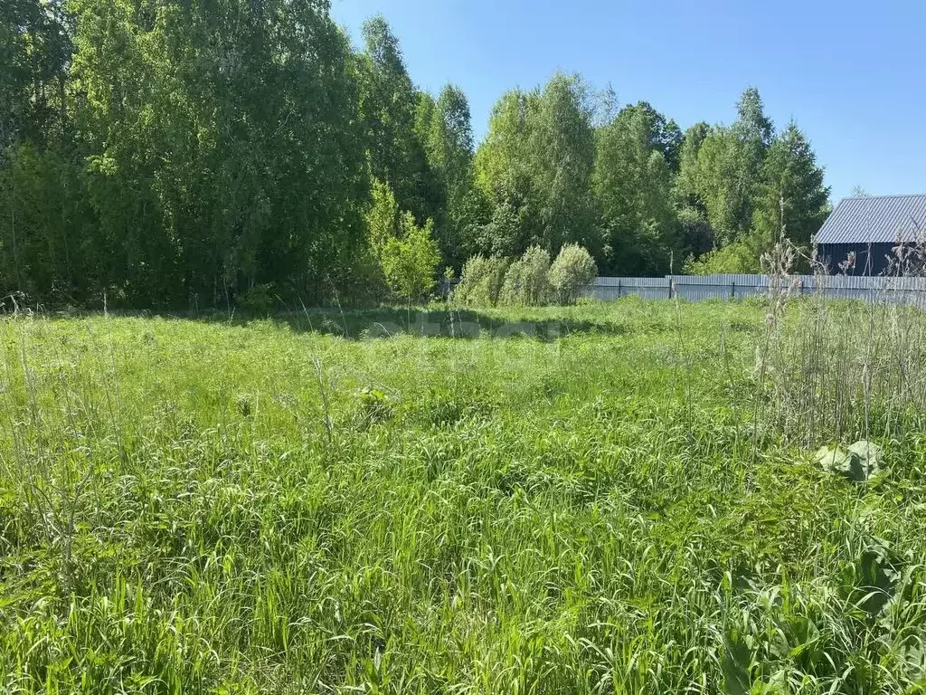 Участок в Тюменская область, Нижнетавдинский муниципальный округ, ... - Фото 1