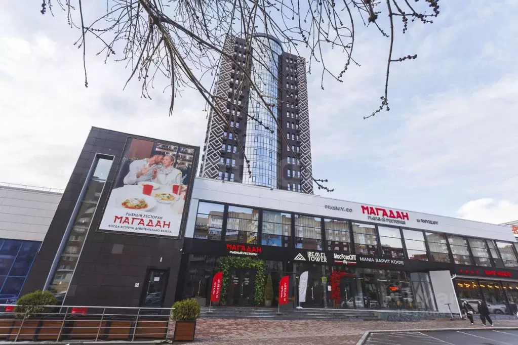 Студия Башкортостан, Уфа ул. Менделеева, 137/3 (26.8 м) - Фото 1