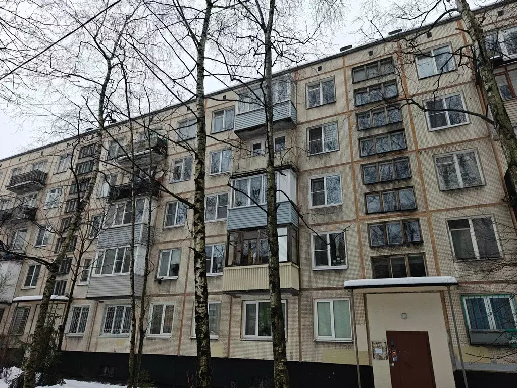 2-комнатная квартира: Санкт-Петербург, улица Турку, 32к3 (45 м) - Фото 1