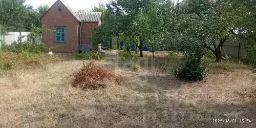 Дом в Ростовская область, Ростов-на-Дону Защитник садовое ... - Фото 1