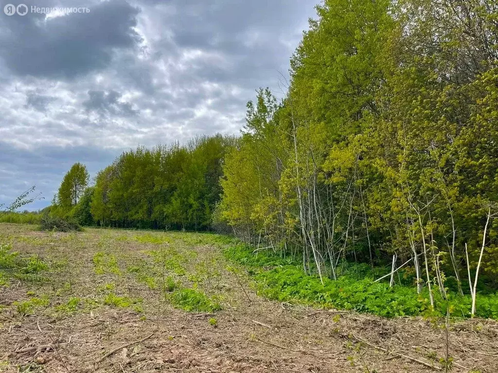 Участок в Московская область, городской округ Клин, деревня Белозёрки ... - Фото 0