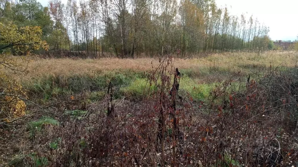 Участок в Московская область, Егорьевск муниципальный округ, д. ... - Фото 0