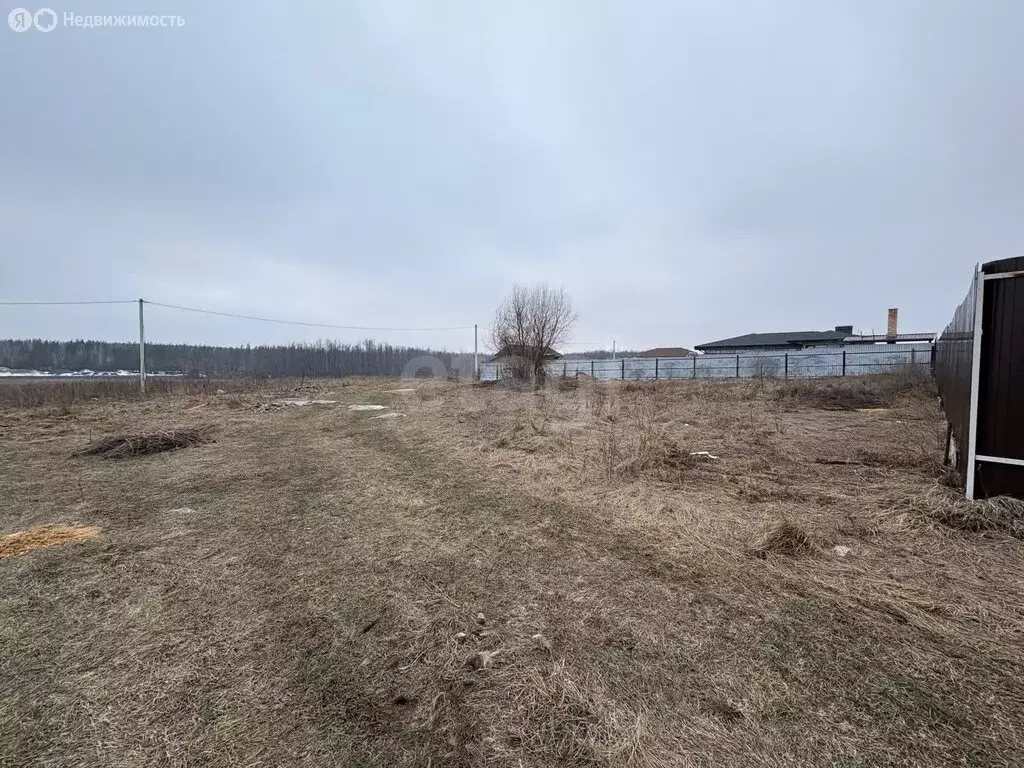 Участок в деревня Моховатка, Лесная улица (30 м) - Фото 2