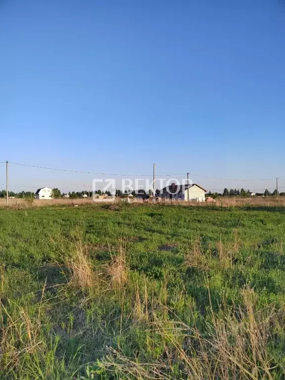 Участок в Костромская область, Кострома Первый кп, проезд Даниловский ... - Фото 1