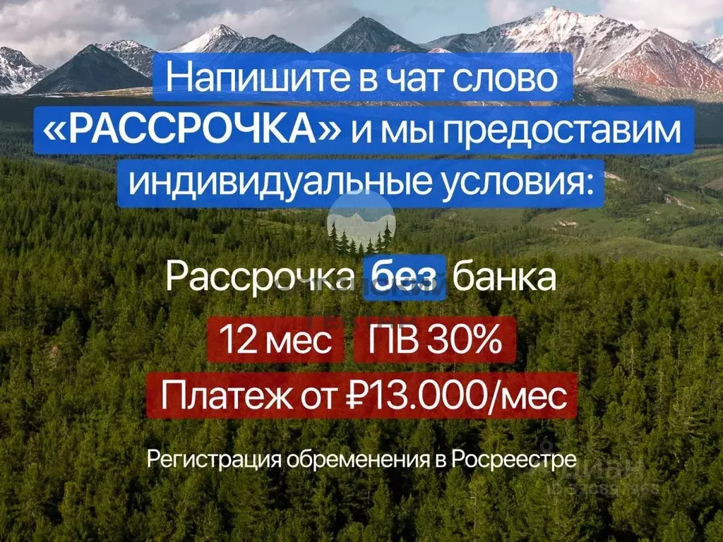 Участок в Алтайский край, Первомайский район, с. Боровиха ул. Южная ... - Фото 2