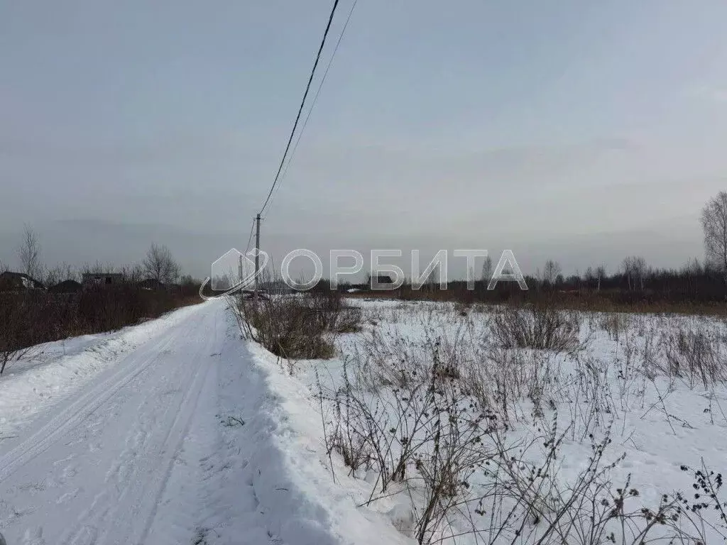 Участок в Тюменская область, Тюмень Царево садовое товарищество, ул. ... - Фото 2