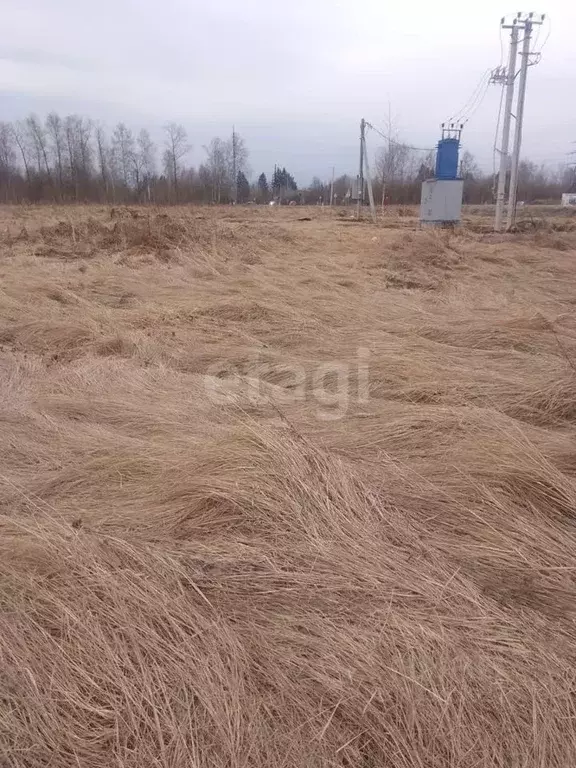 Участок в Владимирская область, Муромский район, д. Александровка ... - Фото 0
