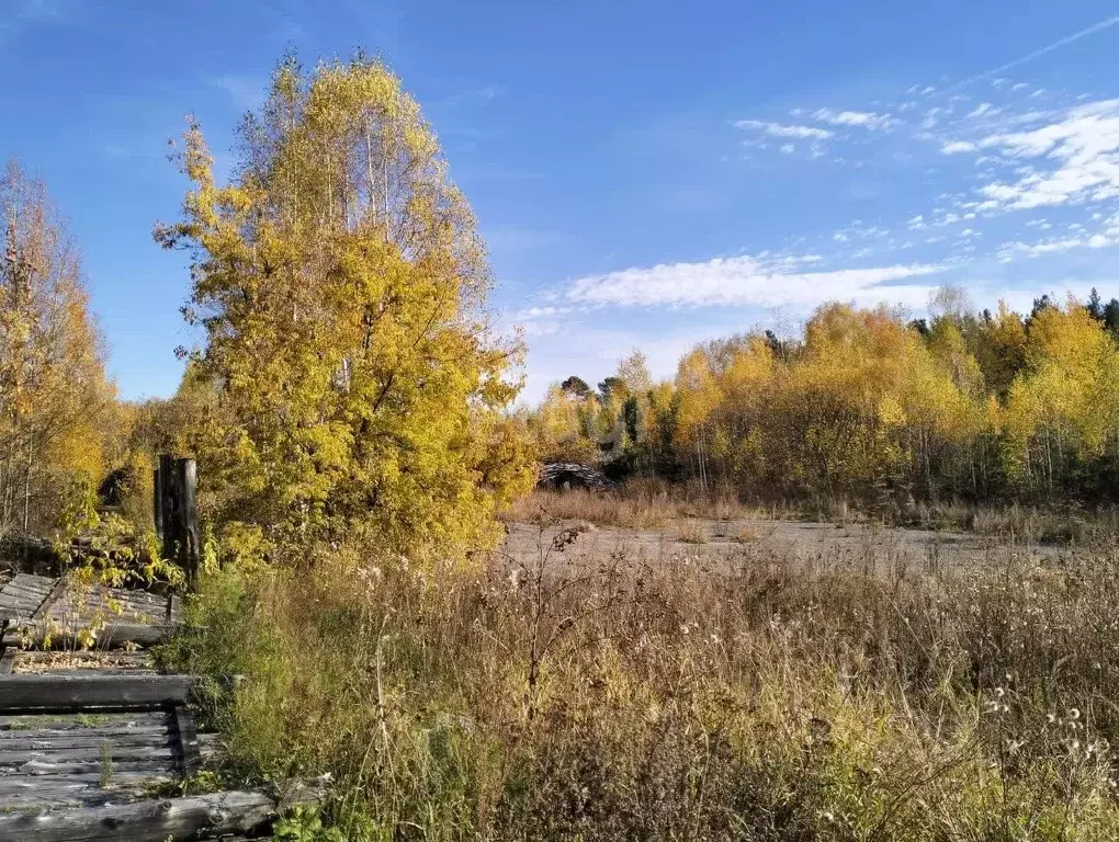 Участок в Свердловская область, Нижняя Салда ул. Луначарского (16.4 ... - Фото 0