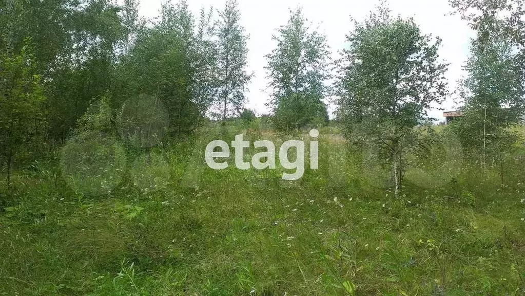 Участок 10 сот. (ИЖС) - Фото 0