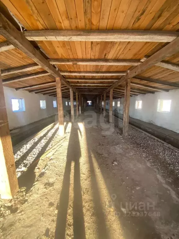 Помещение свободного назначения в Тюменская область, Ялуторовский ... - Фото 1