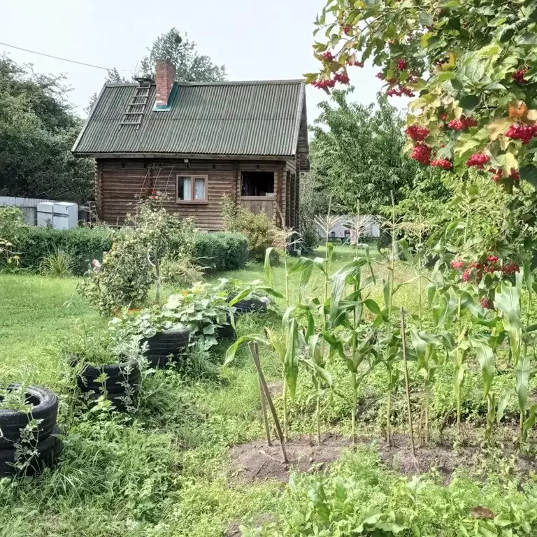 Купить Дачу В Калининграде Недорого С Фото