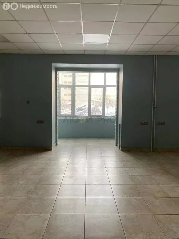 Офис (115.5 м) - Фото 1