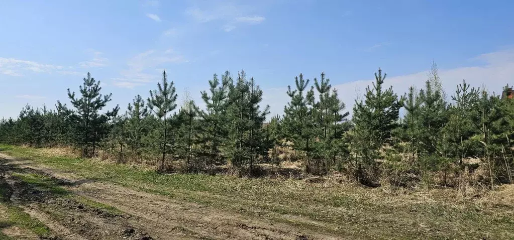 Участок в Московская область, Луховицы муниципальный округ, с. Матыра ... - Фото 0