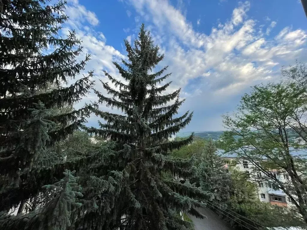 3-к кв. Ставропольский край, Кисловодск ул. Клары Цеткин, 24Б (75.0 м) - Фото 2