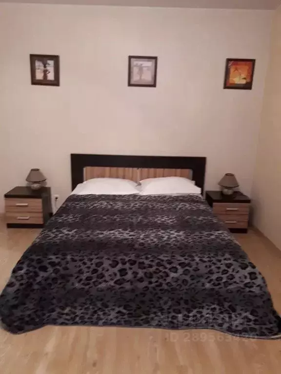 1-к кв. Санкт-Петербург Полтавский проезд, 2 (42.0 м) - Фото 2