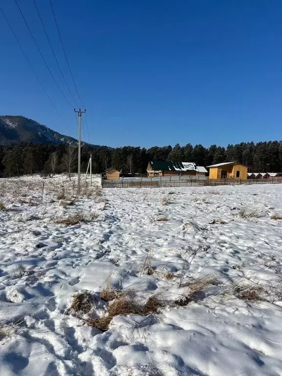 Участок в Алтай, Чемальский район, Чепошское с/пос  (10.56 сот.) - Фото 1