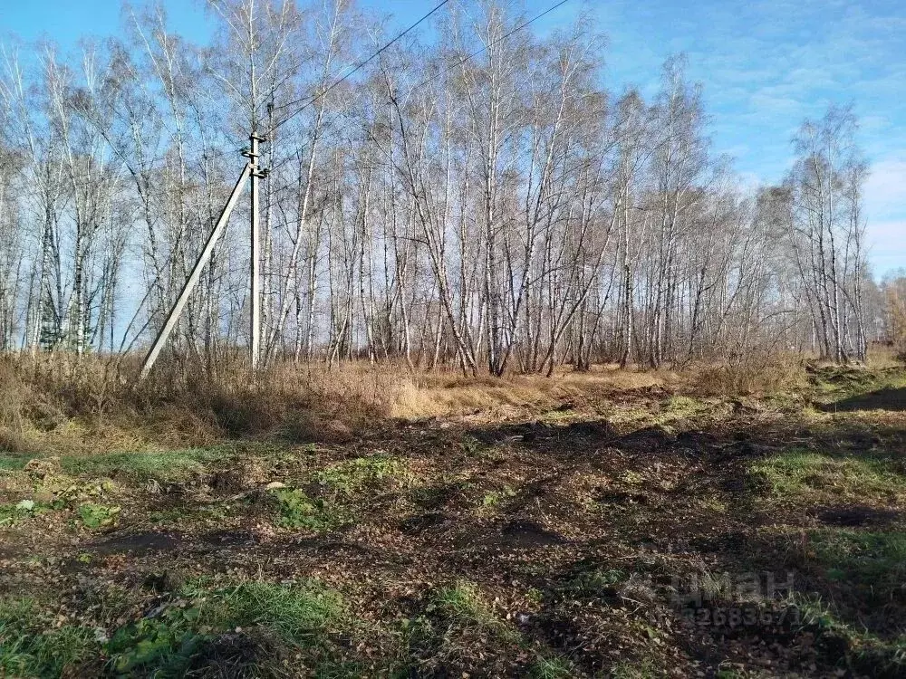Участок в Свердловская область, Каменск-Уральский городской округ, д. ... - Фото 2