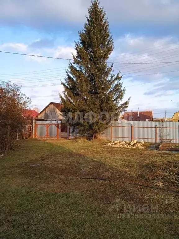 Участок в Новосибирская область, Коченевский район, Дружба-2 СНТ ул. ... - Фото 1