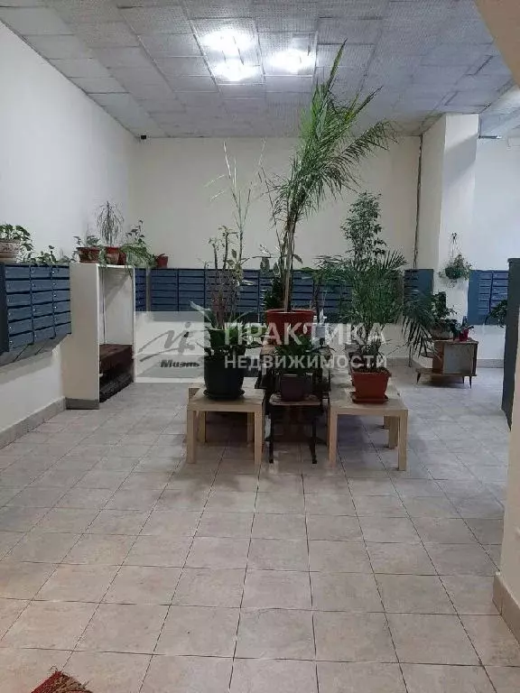 Продается 1-комнатная квартира - Фото 2