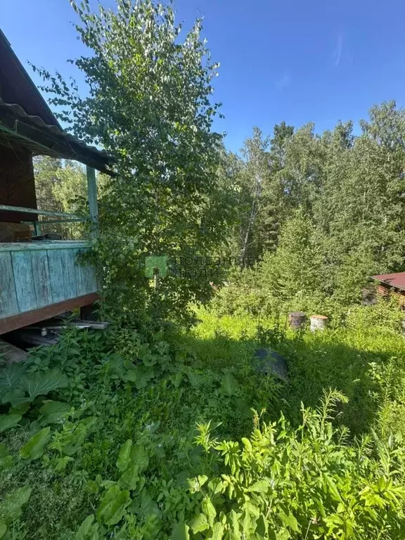 Дом в Красноярский край, Красноярск Свердловская ул., 137 (25 м) - Фото 1