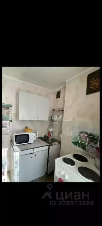 1-к кв. Амурская область, Благовещенск 120-й кв-л,  (31.0 м) - Фото 2