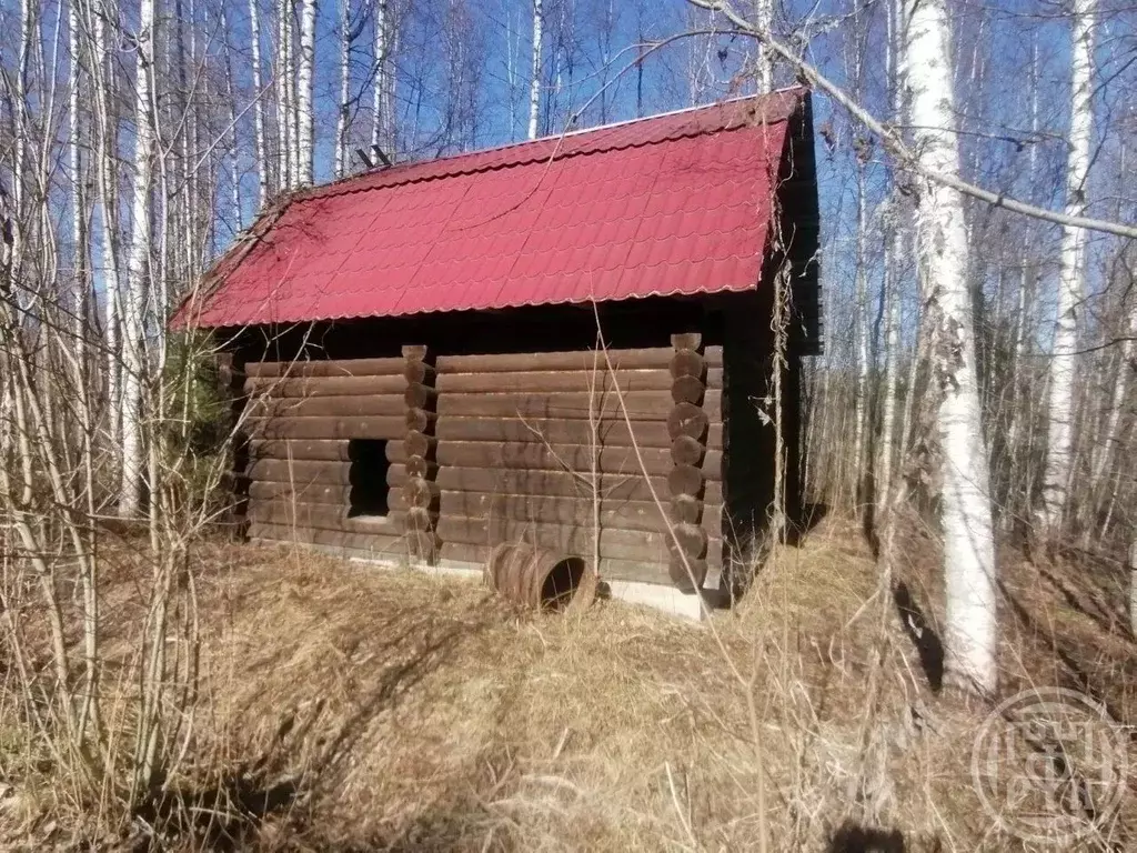 Участок в Ленинградская область, Лужский район, Заклинское с/пос, д. ... - Фото 2