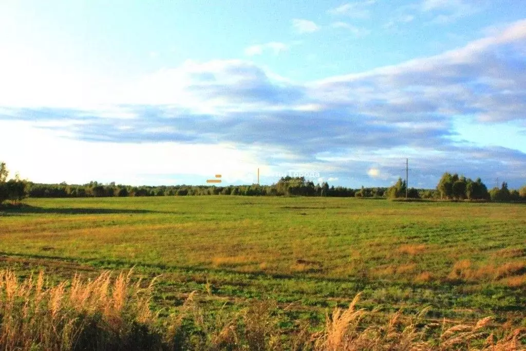 Участок в Брянская область, Дубровский район, Рябчинское с/пос, д. ... - Фото 1