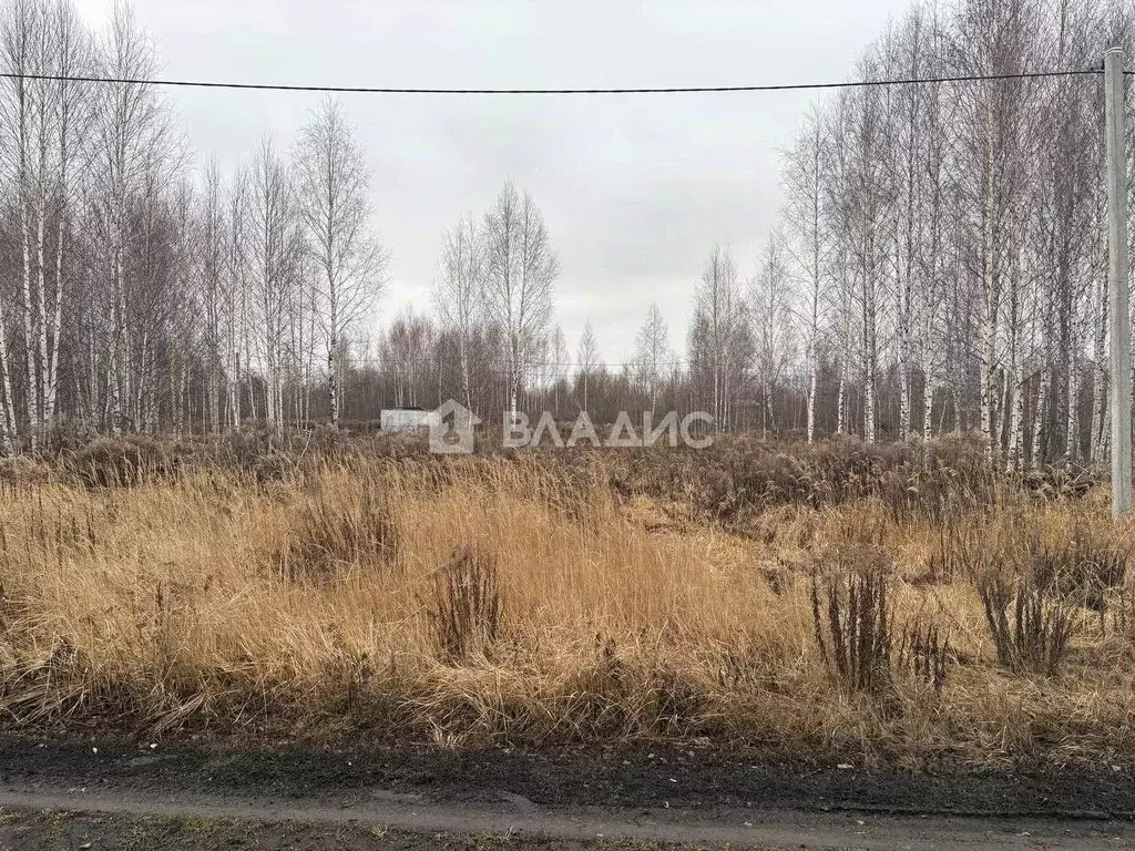 Участок в Пензенская область, Пенза ул. Велозаводская, 20 (6.0 сот.) - Фото 1