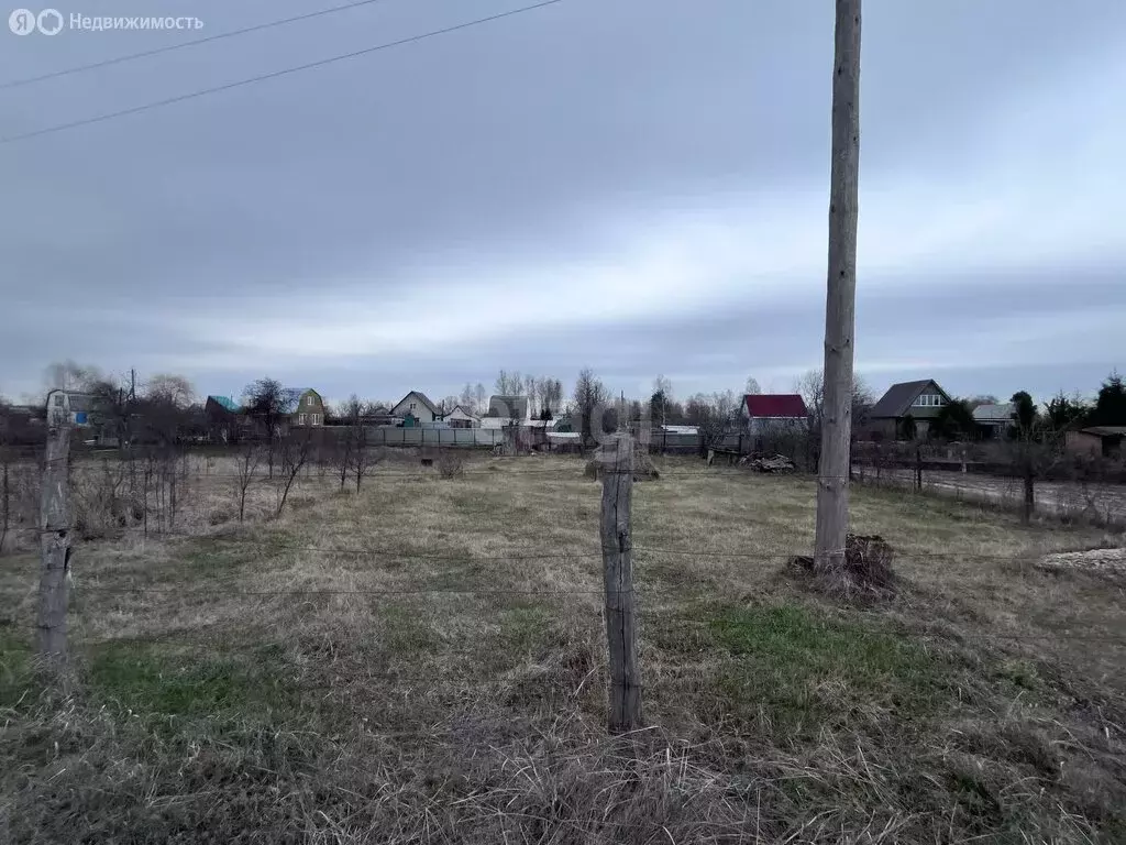 Участок в Тамбовская область, Мичуринский муниципальный округ, село ... - Фото 1