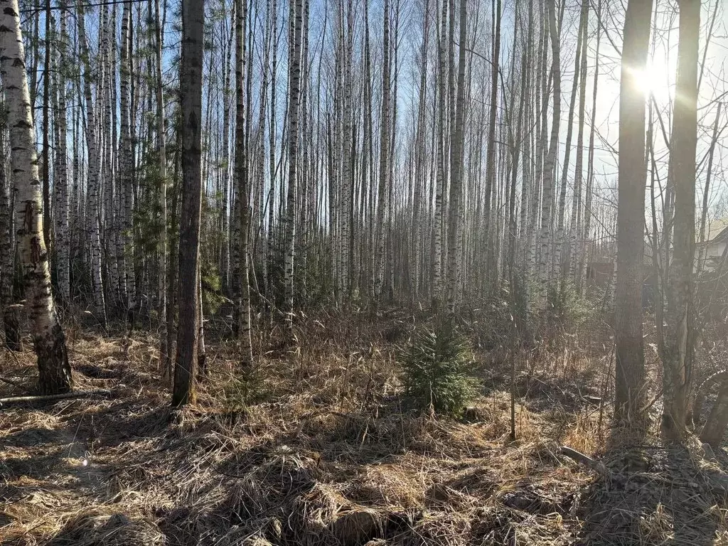 Участок в Московская область, Дубна Стела ПОИЗ,  (10.0 сот.) - Фото 0