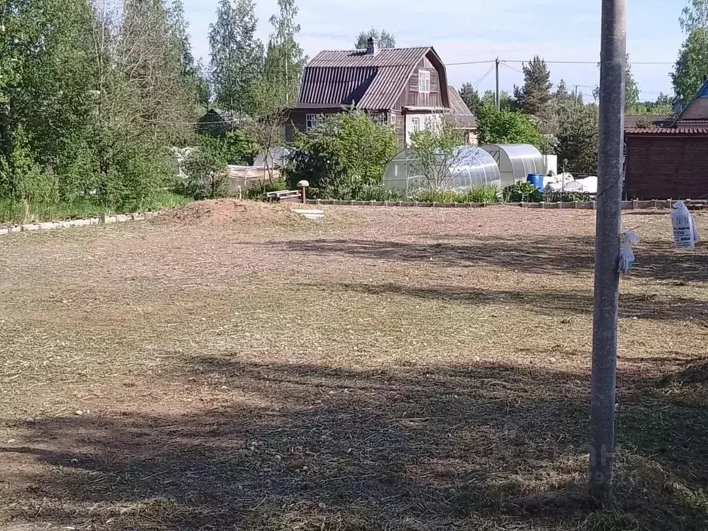 Участок в Ленинградская область, Кировский район, Мгинское городское ... - Фото 1