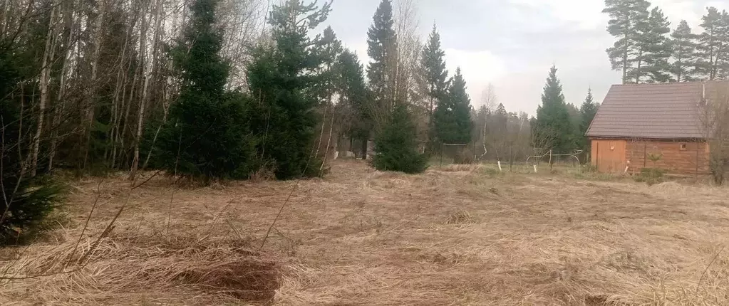 Участок в Московская область, Раменский муниципальный округ, Восточный ... - Фото 2