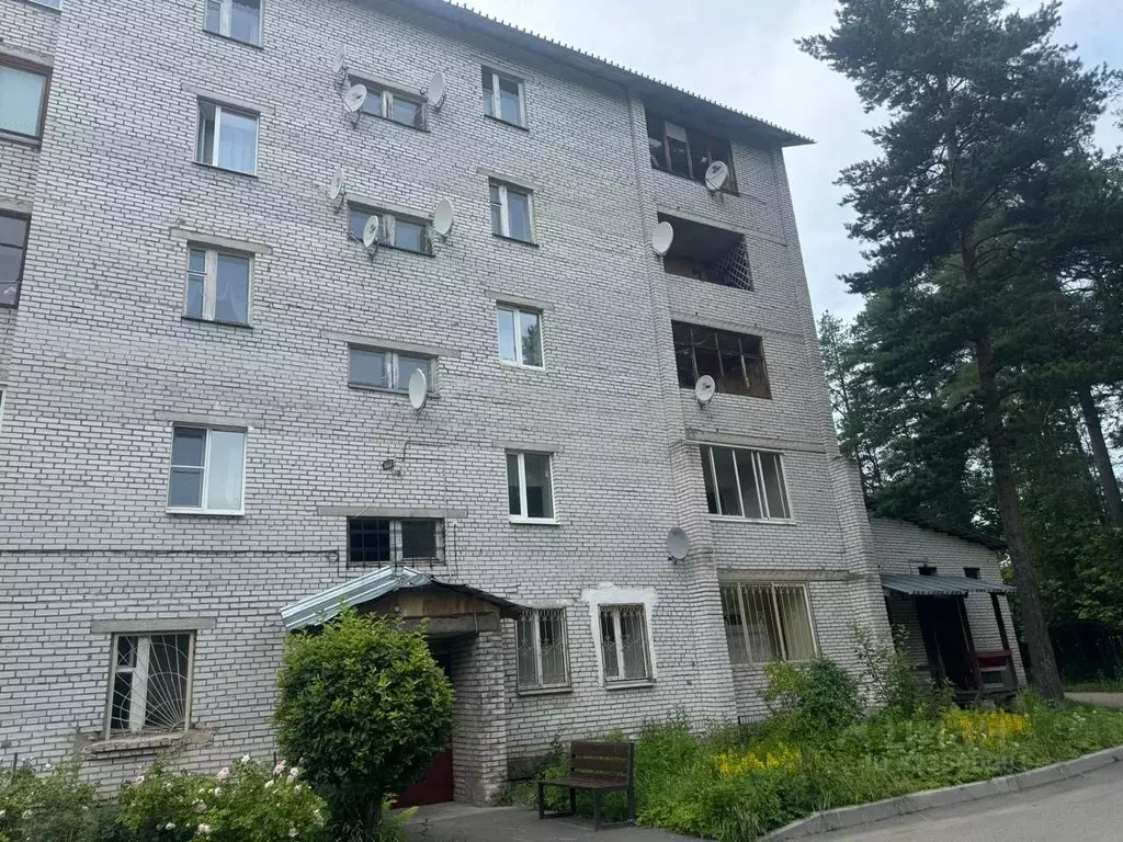 1-к кв. Ленинградская область, Гатчинский муниципальный округ, Вырица ... - Фото 1