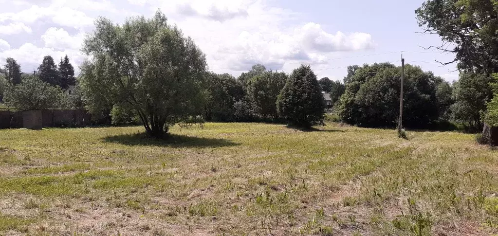 Участок в Калужская область, Козельск ул. Веденеева, 59 (22.5 сот.) - Фото 2