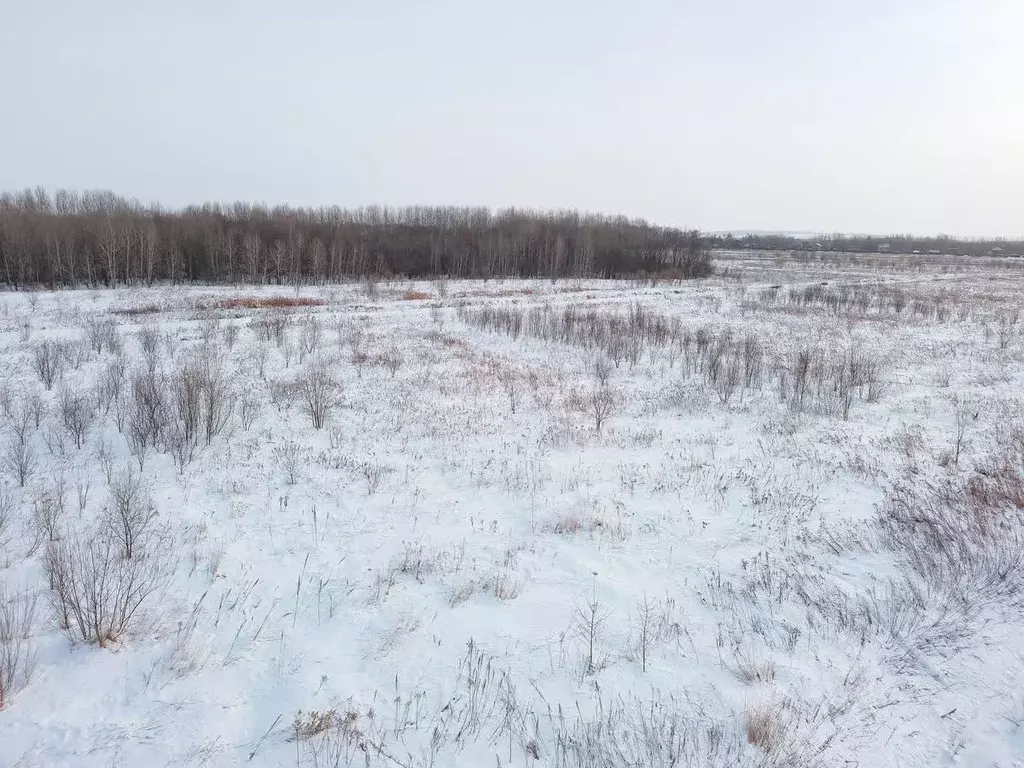 Участок в Хабаровский край, Хабаровский район, с. Рощино  (11.9 сот.) - Фото 0