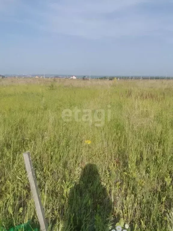 Участок в Ульяновская область, Ульяновск городской округ, с. Луговое ... - Фото 1