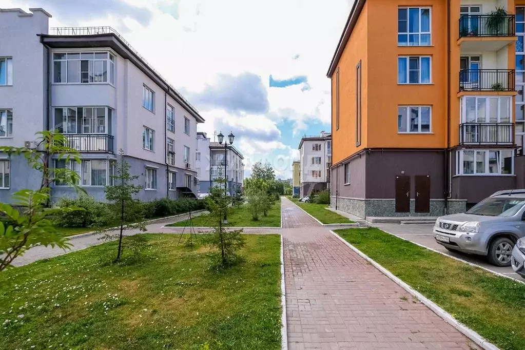 Помещение свободного назначения в Новосибирская область, Новосибирский ... - Фото 0