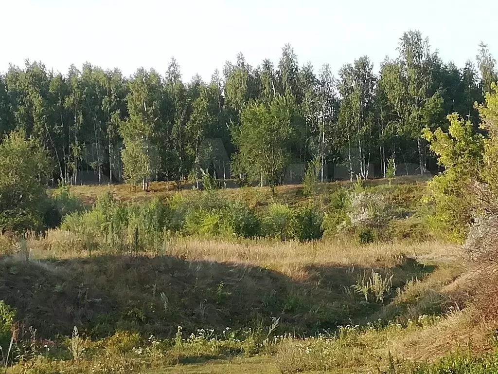 Дом 46 м на участке 9 сот. - Фото 1
