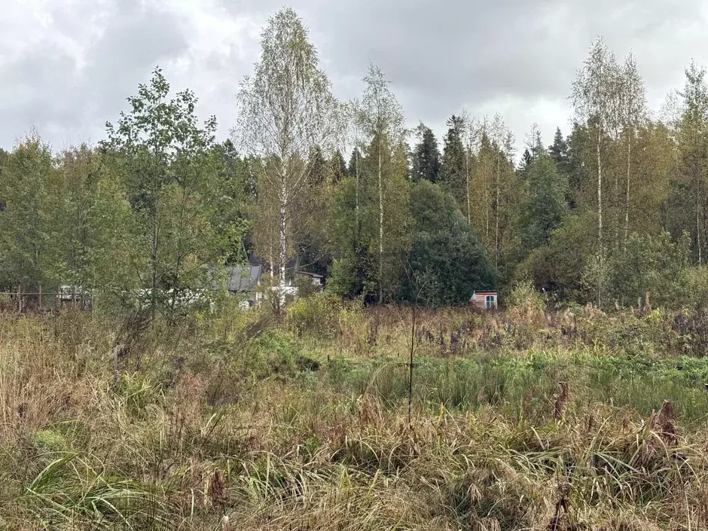 Участок в Ленинградская область, Выборгский район, Советское городское ... - Фото 2