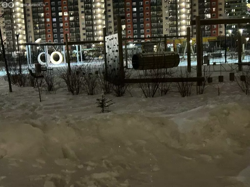 Квартира-студия: Мурино, Ручьёвский проспект, 3к1 (27.2 м) - Фото 1