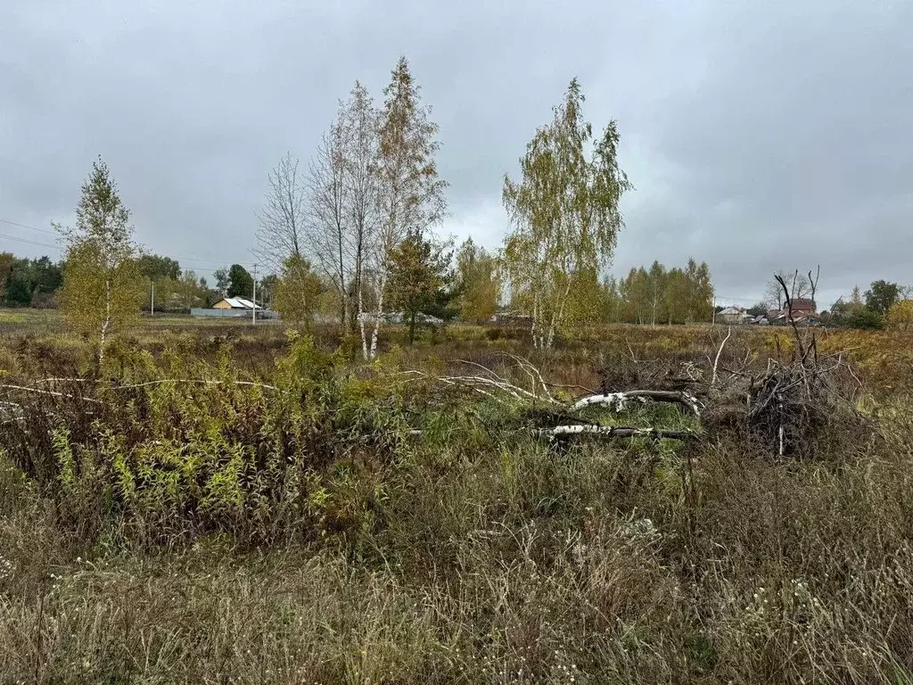 Участок в Московская область, Богородский городской округ, Обухово рп, ... - Фото 0