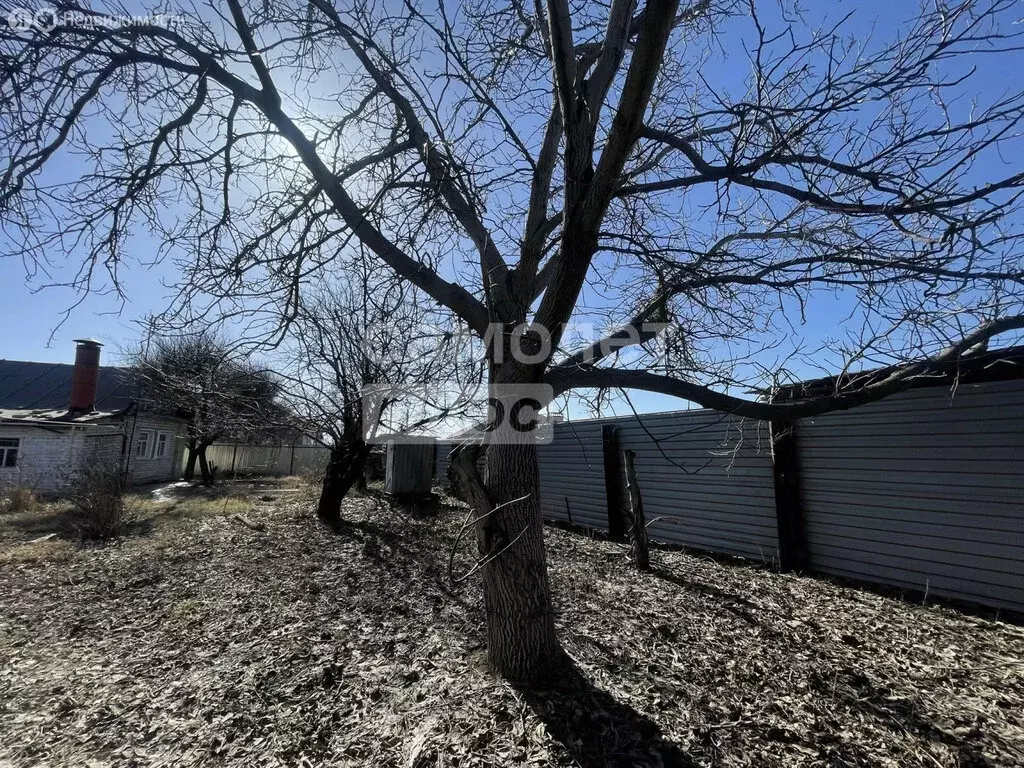 Участок в Волгоград, улица Павлика Морозова, 13 (6 м) - Фото 2