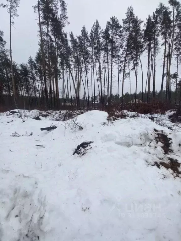 Участок в Нижегородская область, Володарский муниципальный округ, ... - Фото 1