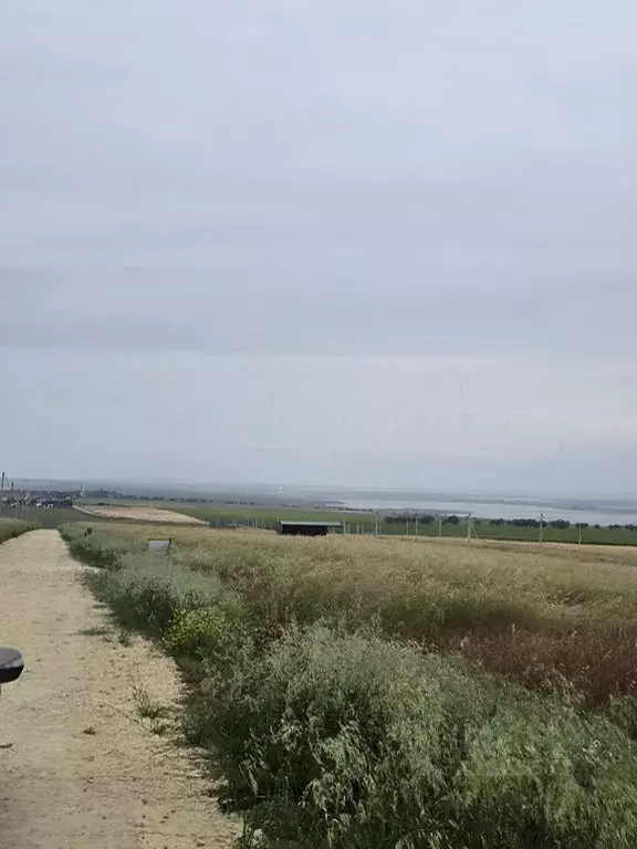 Участок в Краснодарский край, Темрюкский район, Новотаманское с/пос, ... - Фото 2