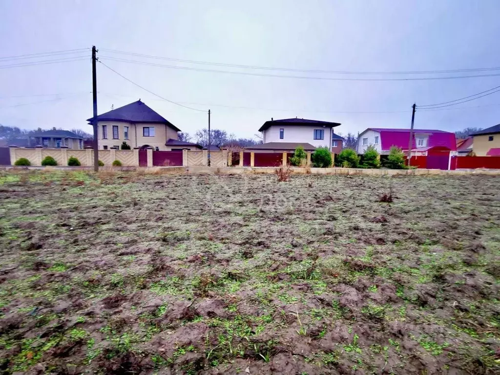 Участок в Волгоградская область, Среднеахтубинский район, Фрунзенское ... - Фото 2