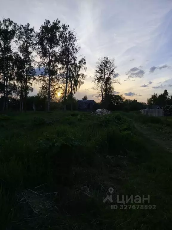 Участок в Ленинградская область, Тосненское городское поселение, д. ... - Фото 2