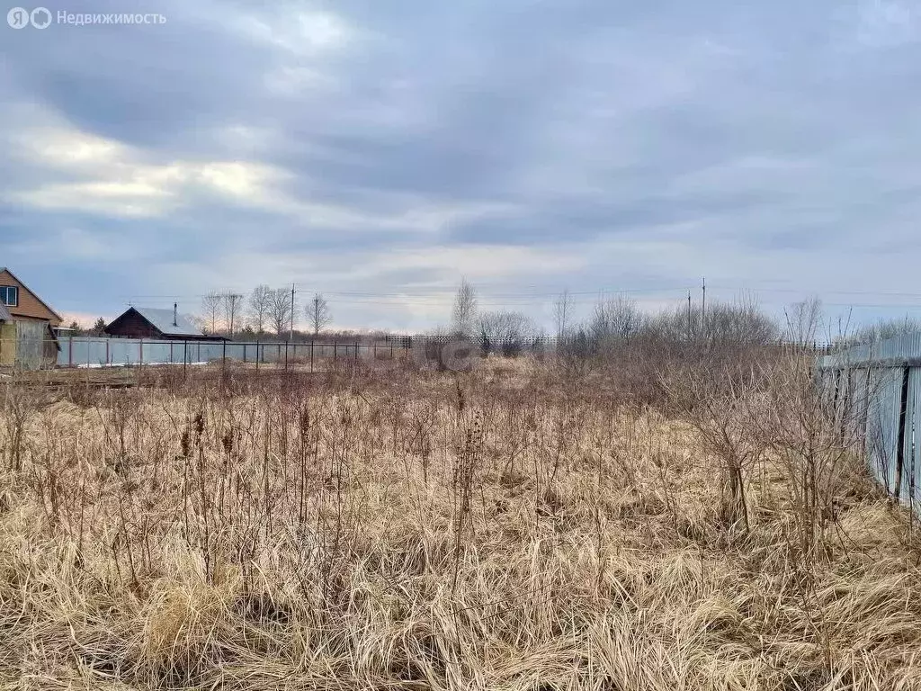 Участок в Колыванский район, СНТ Приобье, 36-й квартал (12 м) - Фото 1