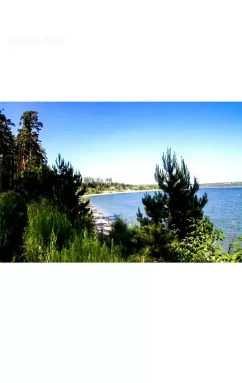 Участок в Бердск, Морской переулок (8 м) - Фото 2