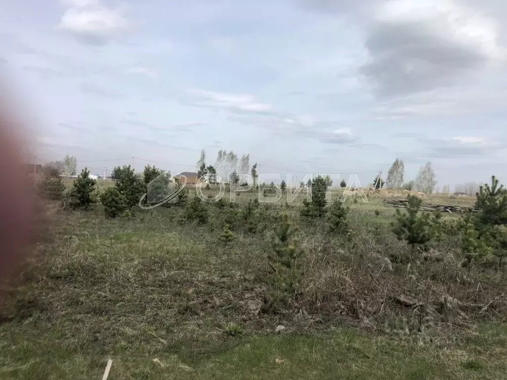 Участок в Тюменская область, Тюменский район, с. Мальково Новая ул., ... - Фото 0